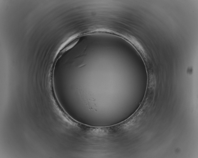 X0000096170806200801181248