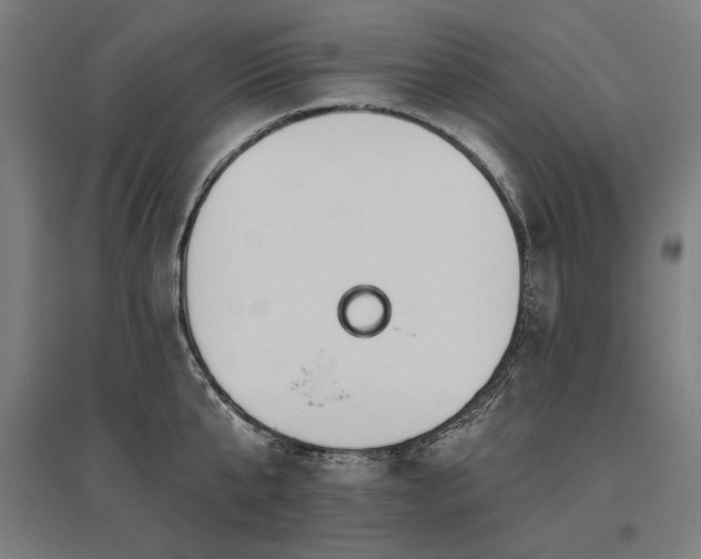 X0000096170807200801181248