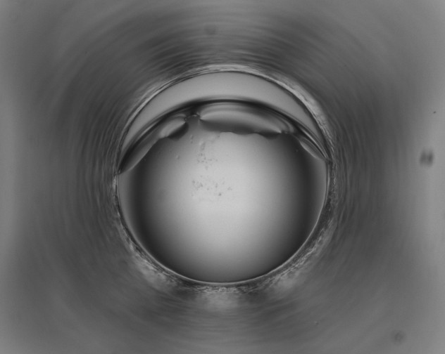 X0000096170809200801181248
