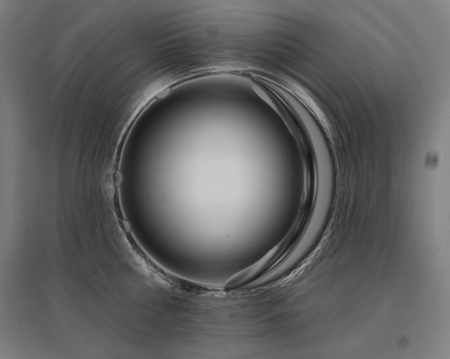 X0000096170810200801181248