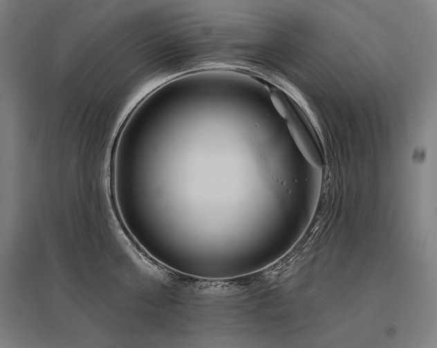 X0000096170811200801181248