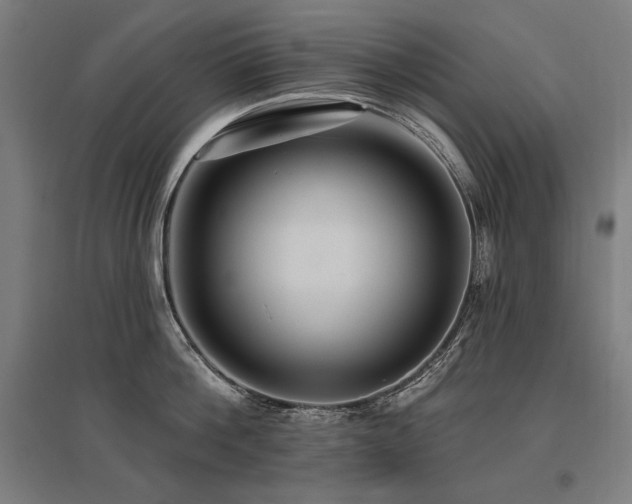 X0000096170812200801181248