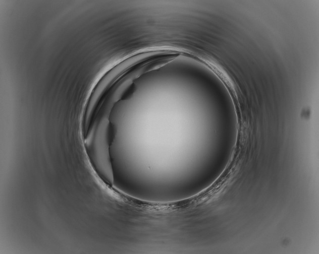 X0000096170813200801181248
