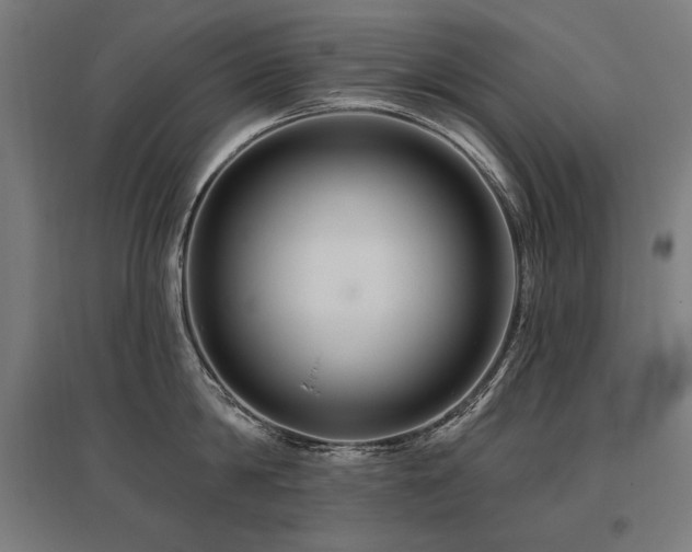 X0000096170814200801181248