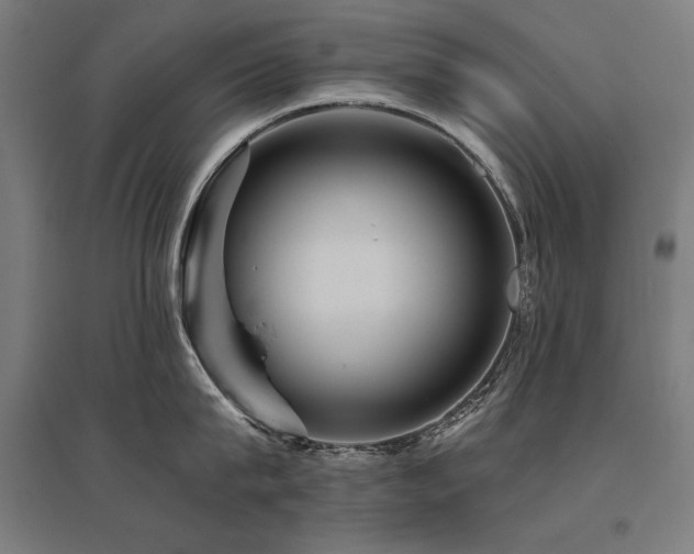 X0000096170815200801181248