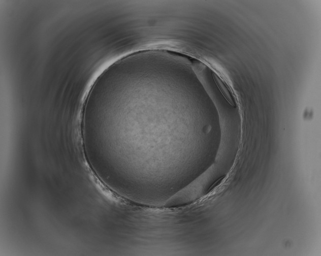 X0000096170816200801181248