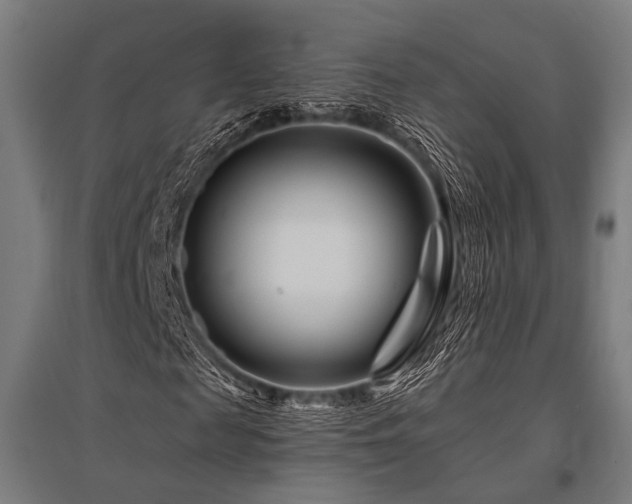 X0000096170817200801181247
