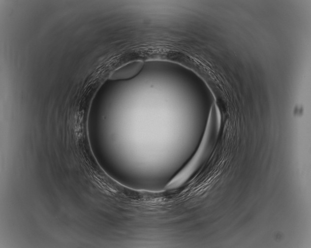X0000096170818200801181247