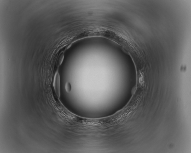 X0000096170819200801181247