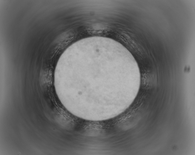 X0000096170820200801181247