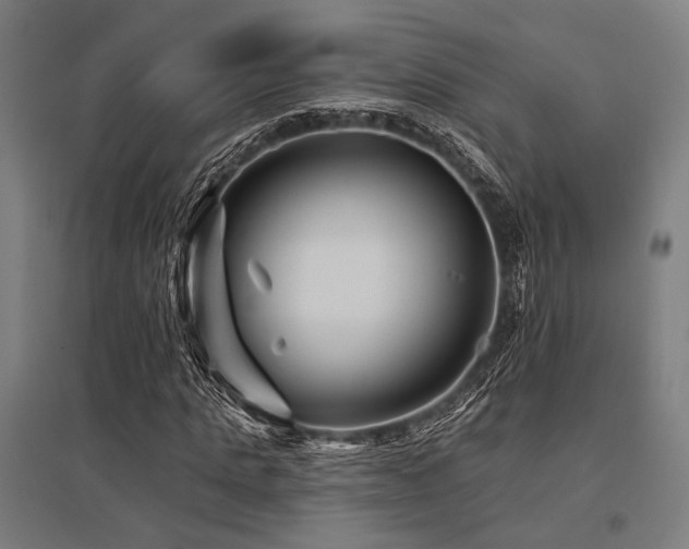 X0000096170821200801181247