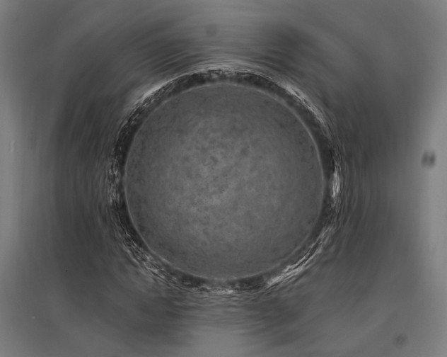 X0000096170822200801181247