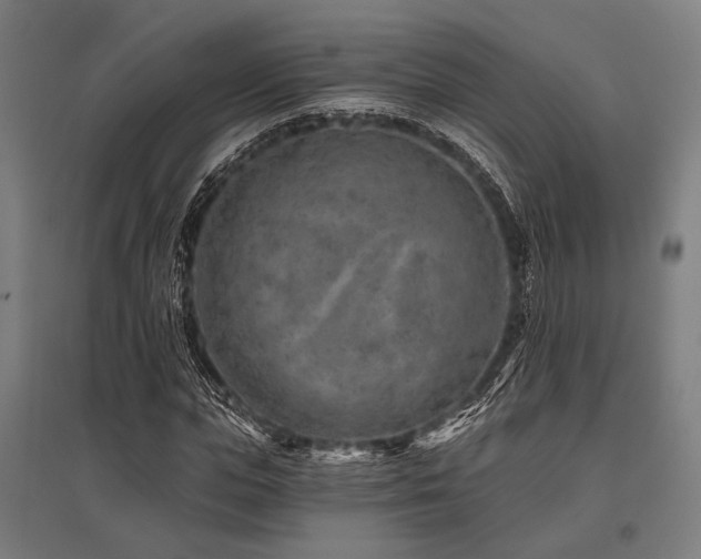 X0000096170823200801181248