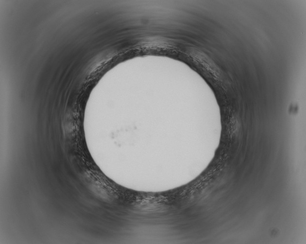 X0000096170824200801181248
