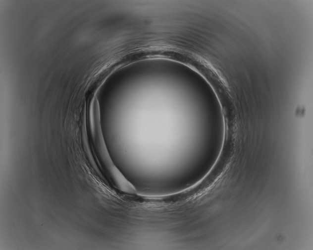 X0000096170825200801181248