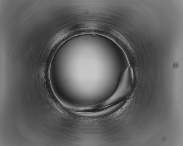 X0000096170826200801181248