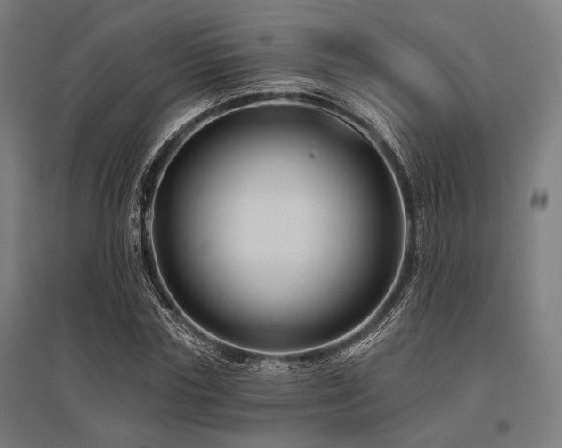 X0000096170827200801181248