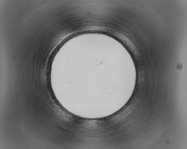 X0000096170828200801181248