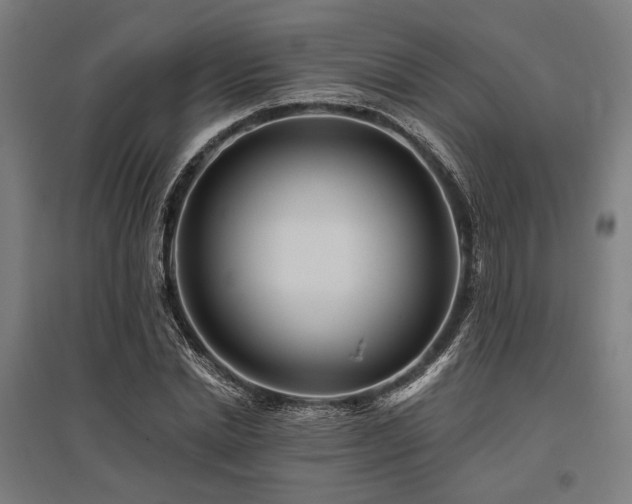 X0000096170830200801181248