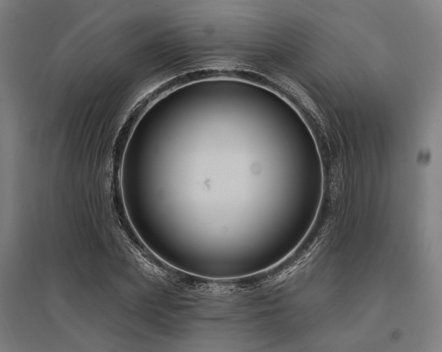 X0000096170831200801181248