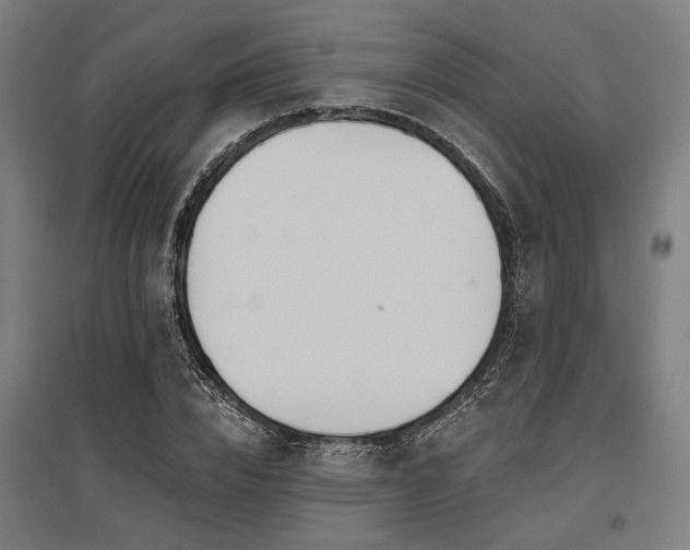 X0000096170832200801181248