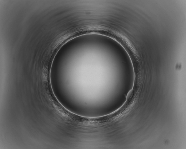 X0000096170833200801181248