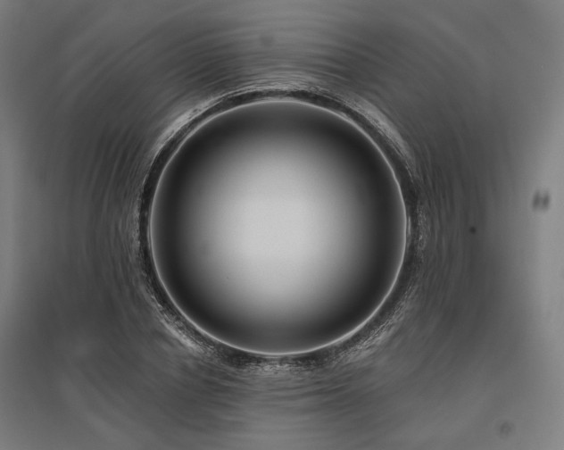 X0000096170834200801181248