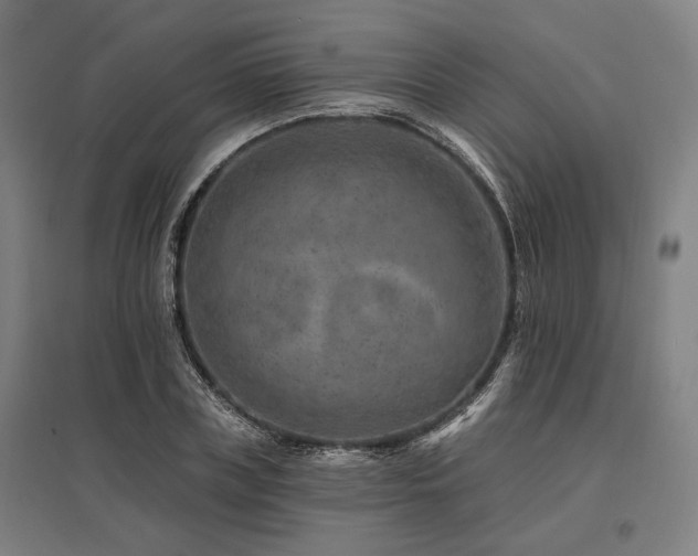 X0000096170835200801181248