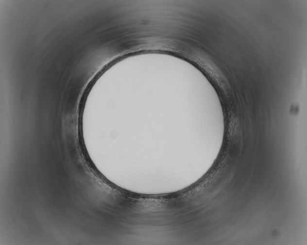 X0000096170836200801181248