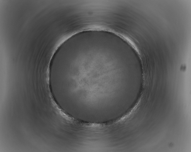 X0000096170839200801181248