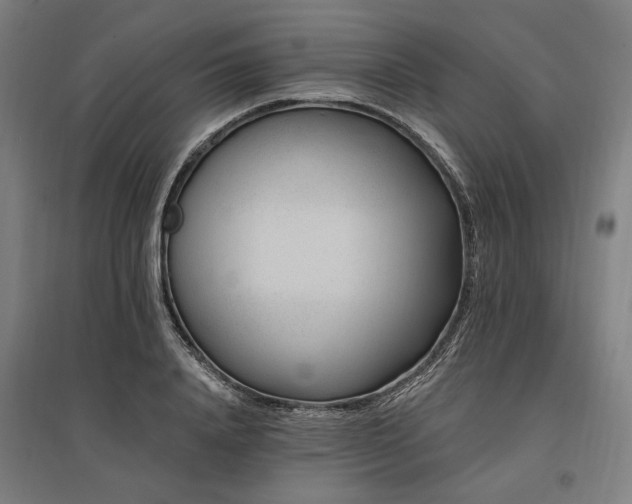 X0000096170840200801181248