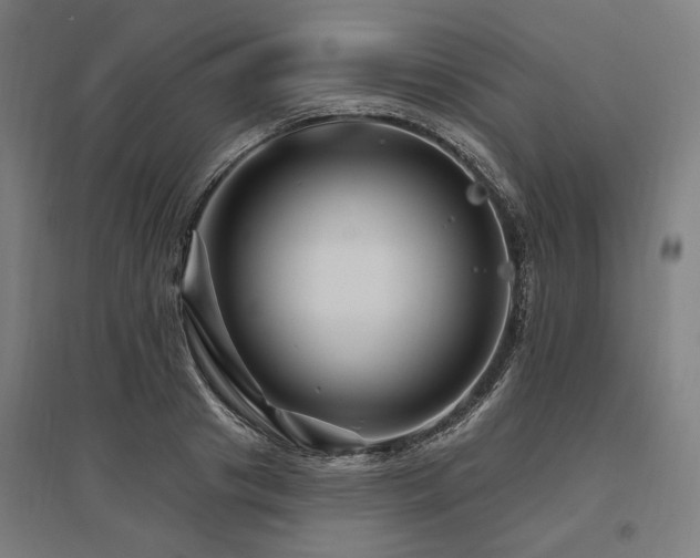 X0000096170841200801181248