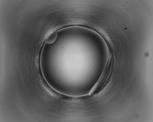 X0000096170842200801181248