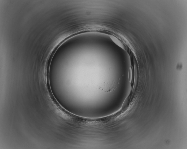 X0000096170843200801181248