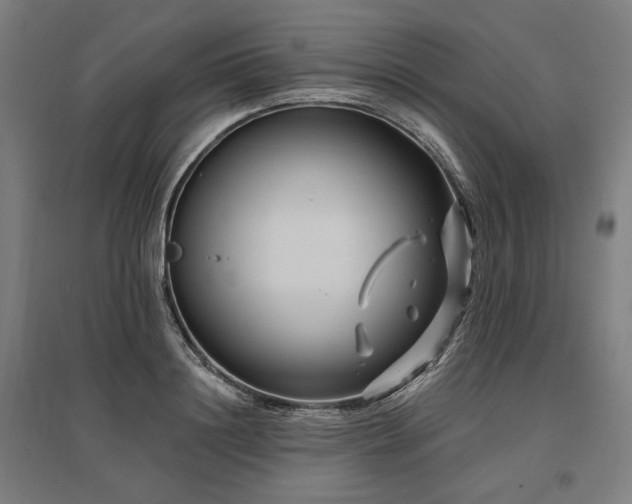 X0000096170844200801181248