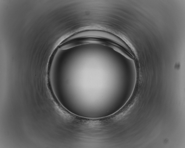 X0000096170845200801181248