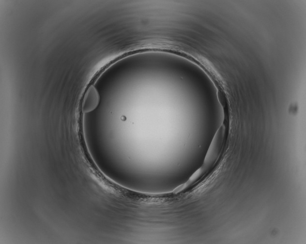 X0000096170846200801181248