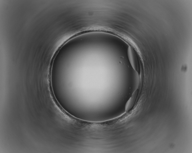 X0000096170847200801181248