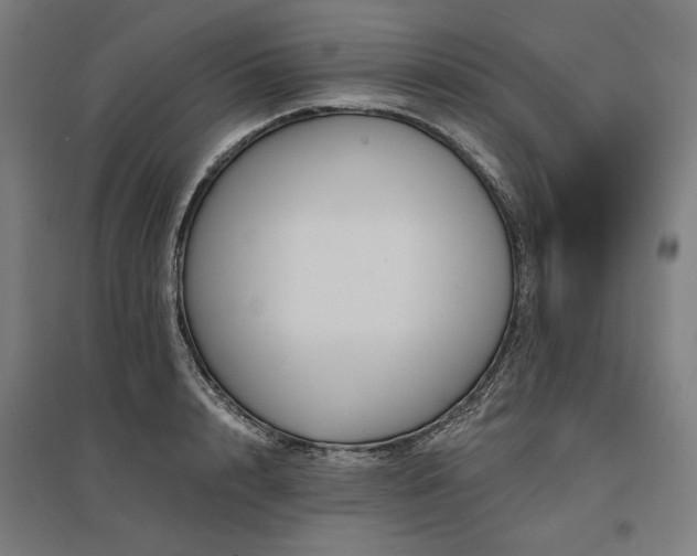 X0000096170848200801181248