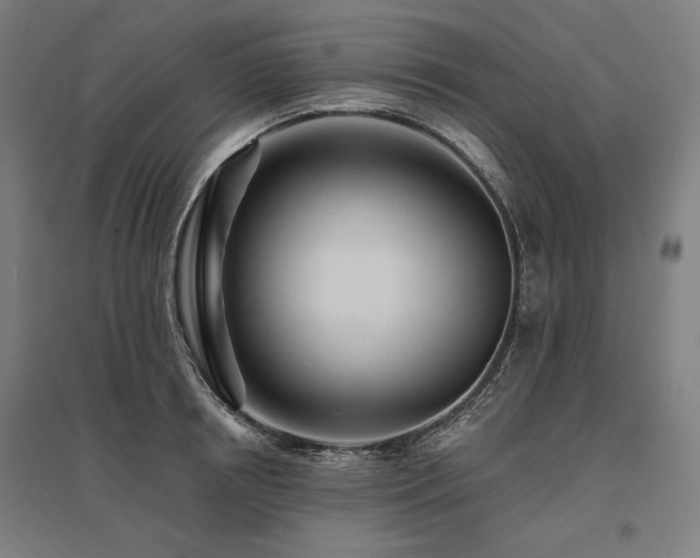 X0000096170850200801181248