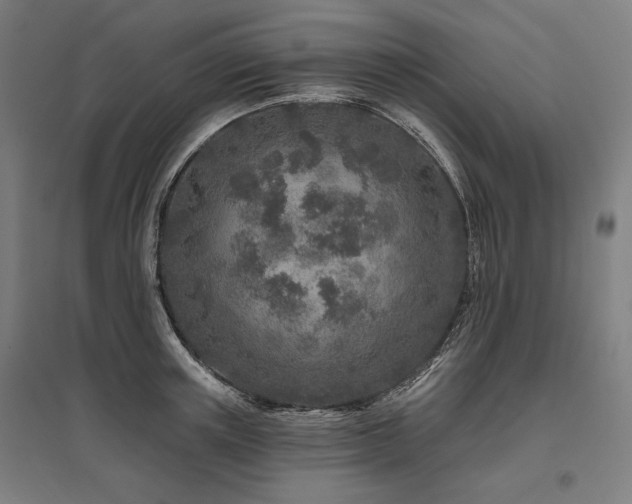 X0000096170851200801181248