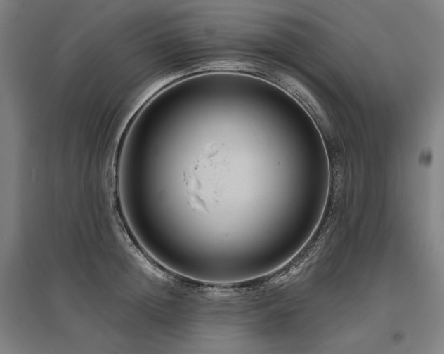 X0000096170852200801181248