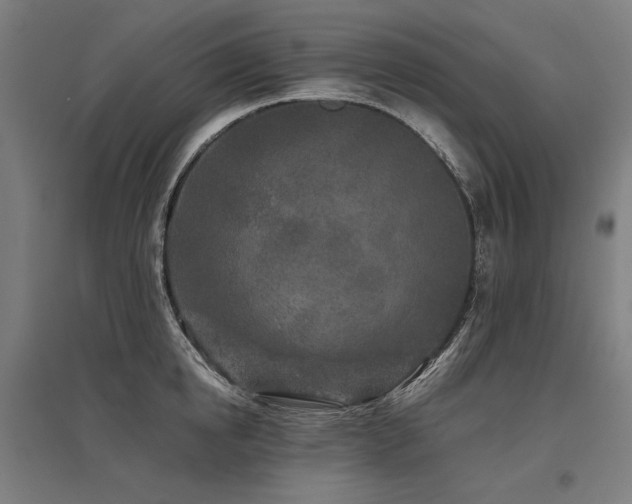 X0000096170854200801181248