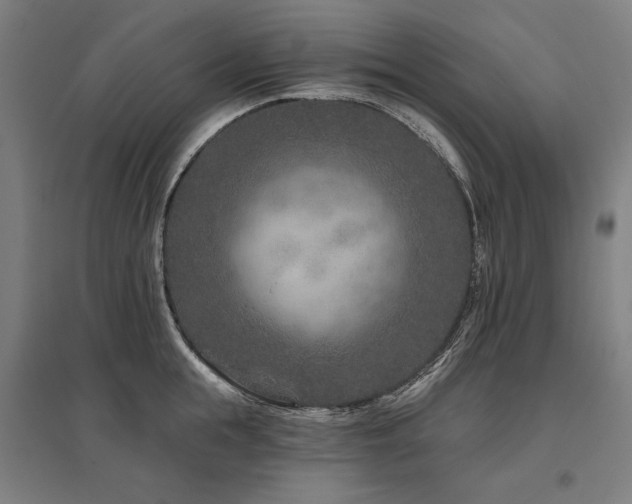 X0000096170855200801181248