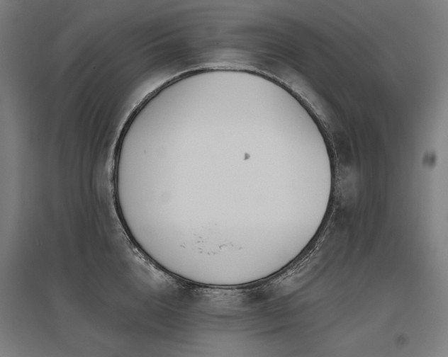 X0000096170856200801181248