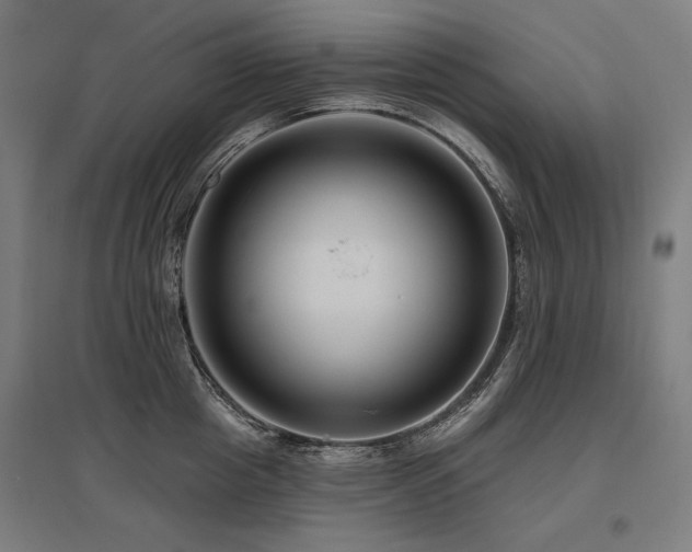 X0000096170857200801181248