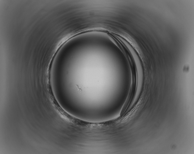 X0000096170858200801181248