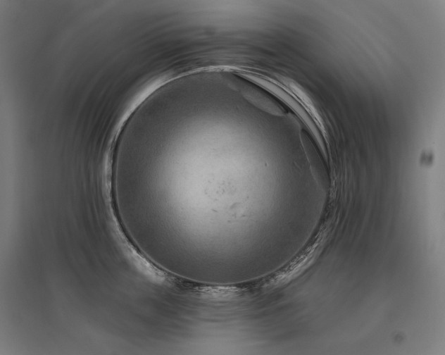X0000096170859200801181248