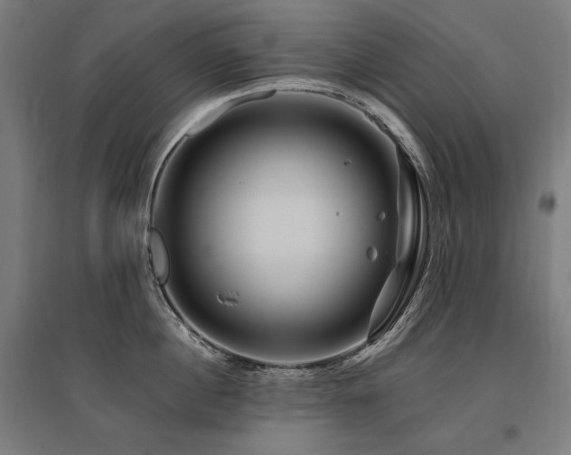 X0000096170860200801181248