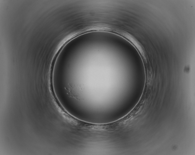 X0000096170861200801181248